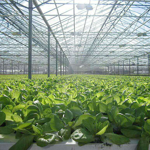 防癌饮食的十个小原则