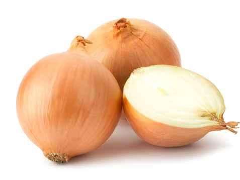 白洋葱