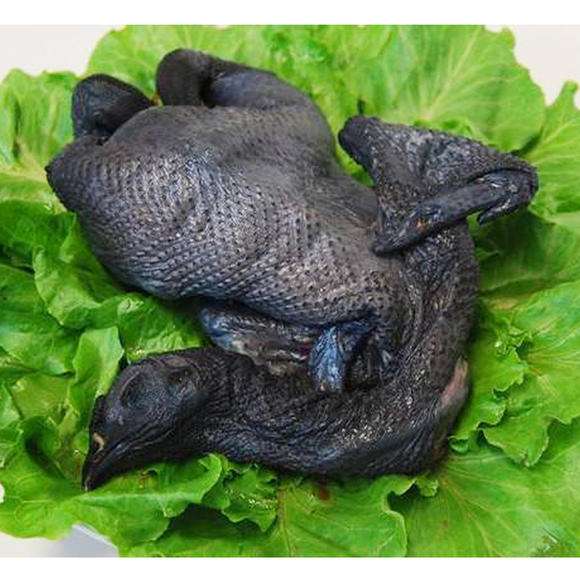 竹丝鸡（乌鸡）