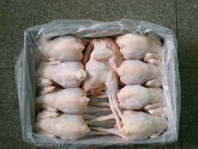 冷冻鸡
