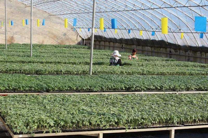 协作销售互利共赢